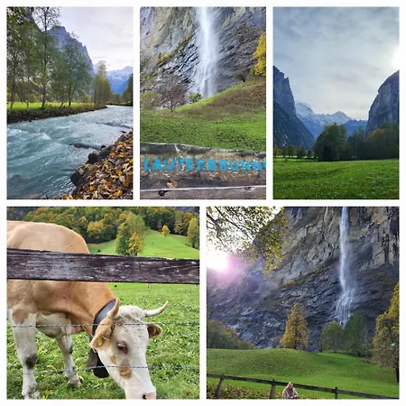 Sonnenseite Brienz (Bern)