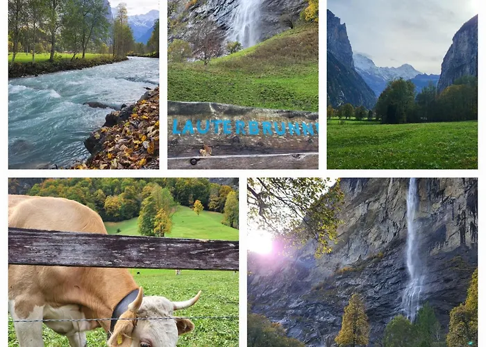 Sonnenseite Brienz (Bern)